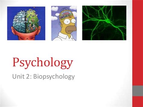 | review and cite biological psychology protocol. Unit 2 Biopsychology PowerPoint