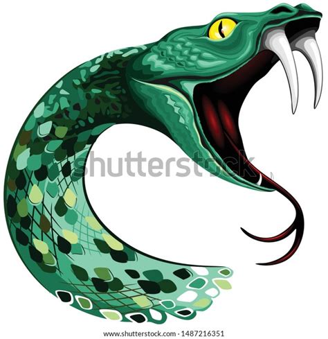 Snake Head Big Fangs On Open Stock Vector Royalty Free 1487216351