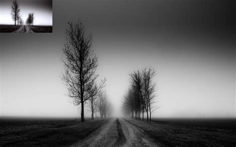 Black White Landscape Fog Wallpapers Hd Desktop And