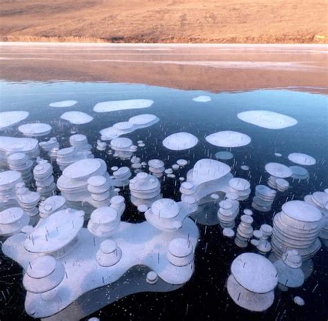 Beautiful Frozen Methane Bubbles Pictures Strange Sounds