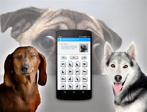 Download free dog translator⋆ app apk for android. Human to dog sounds translator for Android - APK Download