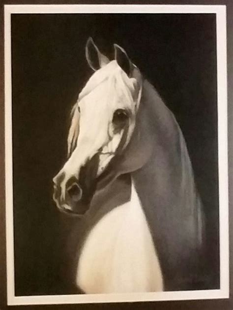 Arabian Stallion Portrait In Pastels By Laurel Uhlig Horse Art