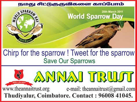 Handwritten inscription decorated with branches and silhouettes of. The Annai Trust: World Sparrow Day 20th March 2011