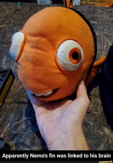 Apparently Nemos Fin Was Linked To His Brain Nemo Memes Dory