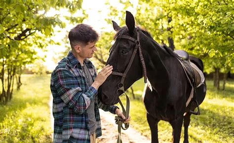 Managing Your Horses Nosebleed With 7 Essential Steps Med And Tech