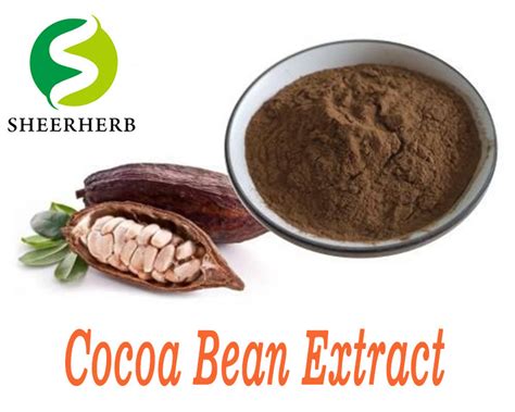 Pharma Ingredient Fat Loss Steroids Supply Cocoa Bean Extract