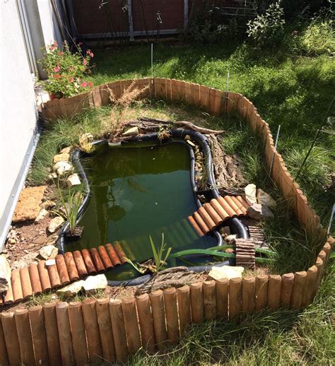 How To Make A Turtle Pond In Your Backyard From Scratch 2022 Artofit