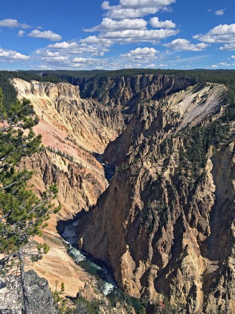 Grandview Point East Grand Canyon Of The Yellowstone Yellowstone