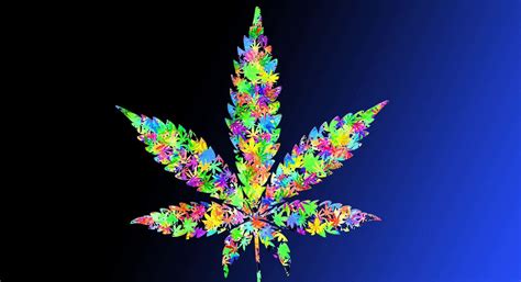 100 Psychedelic Weed Wallpapers