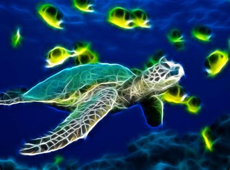Sea Turtle Wallpaper For Computer WallpaperSafari