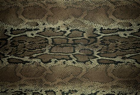 Texture Of Fabric Stripes Snake Leather For Background Stock Photo