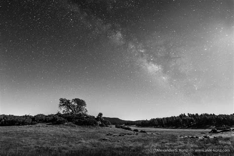Black Oak And Milky Way Alexander S Kunz Photography