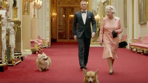 Queen Elizabeth And Her Many Corgis