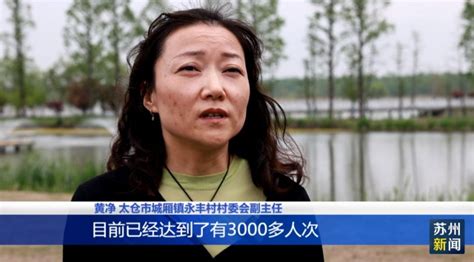 从“各美其美”到“美美与共” 探索乡村振兴片区化发展路径 名城苏州新闻中心