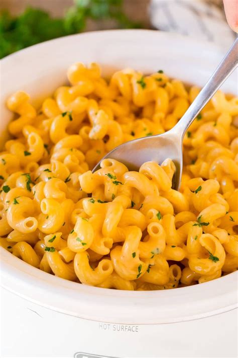 Slow Cooker Mac And Cheese Dinner At The Zoo