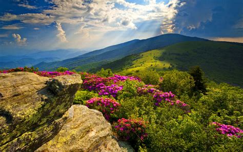 Free Download Hd Wallpapers Blue Ridge Mountains Mountains Nature