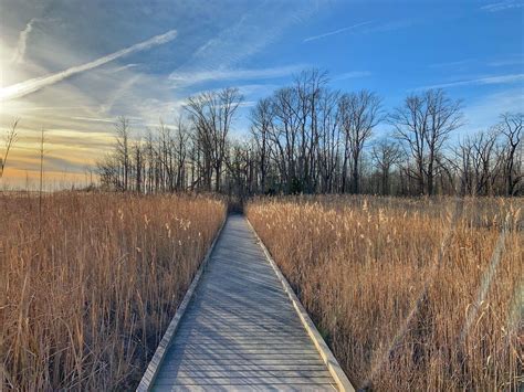 Bombay Hook Boardwalk Trail Takes You To An Unforgettable View