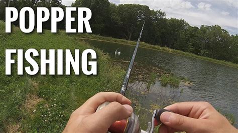 Topwater Bass Fishing Cheap Poppers Youtube