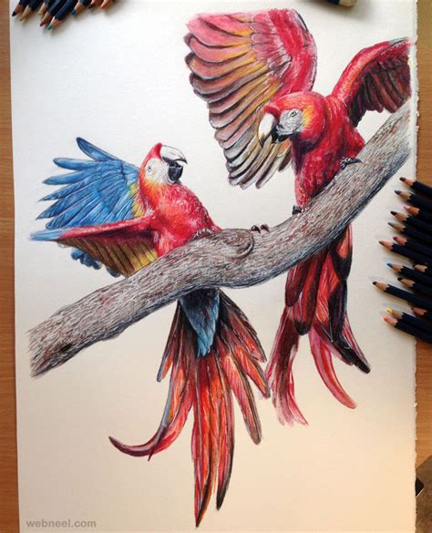 40 Beautiful Bird Drawings And Art Works For Your Inspiration