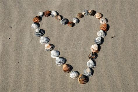 Heart Made Of Shells Stock Photo Image Of Outdoor Seashells 6141778