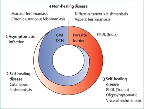 Advances In Leishmaniasis The Lancet