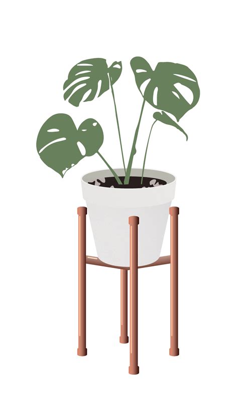 Vector Indoor Plants For More Download Link