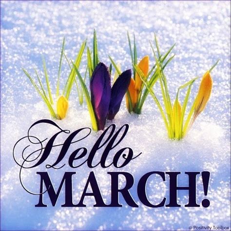 Happy New Month Welcome To The Month Of March Hello March March