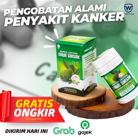 Jual Kes Kapsul Ekstrak Sirsak Toga Herbal Alami Obat Kanker Pankreas