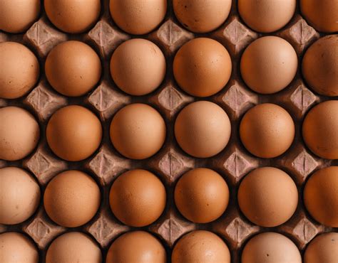 diecisiete euros por una docena de huevos ¿por qué son tan caros en los ee uu