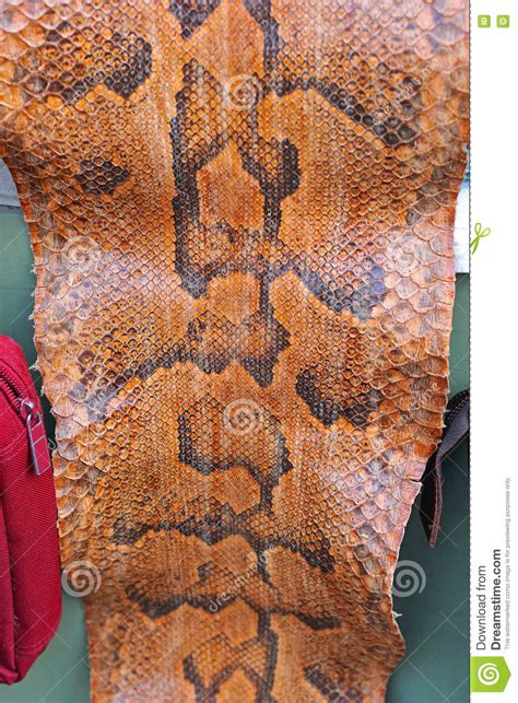Snake Skin Leather Stock Photo Image Of Print Leather 78827756
