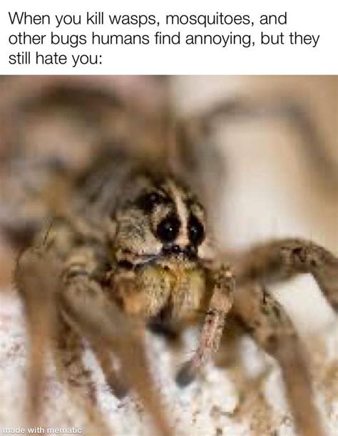Sad Spider Meme By Shamputurner Memedroid Hot Sex Picture