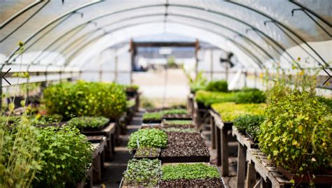How Practices Sustainability The Greenhouse Blog By