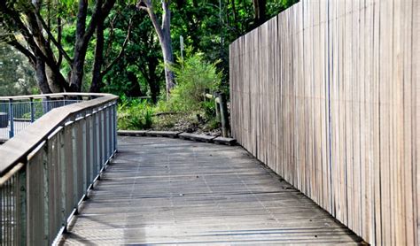 Riverside Walking Track Nsw National Parks