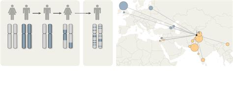 Tracing Ancestry Researchers Produce A Genetic Atlas Of Human Mixing