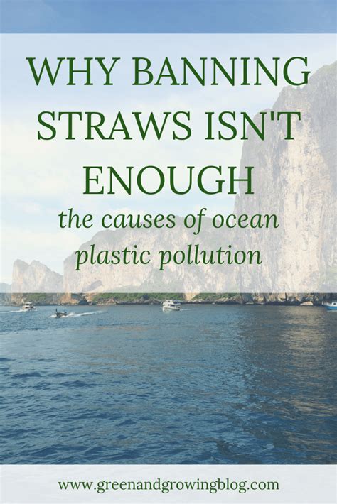 Green And Growing Blog Archive Why Avoiding Straws Isnt Enough