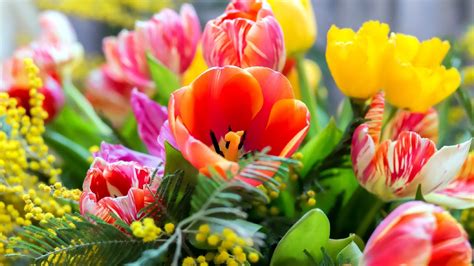 Colorful Flowers Spring Background Hd Spring Background Wallpapers Hd
