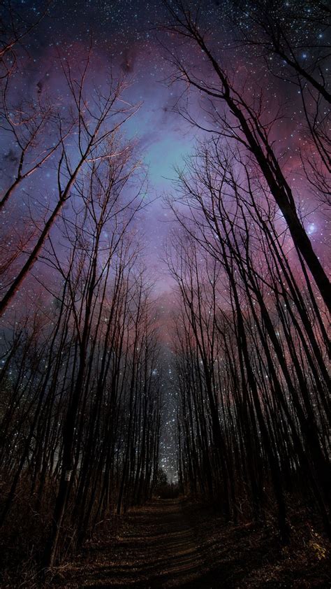 IPhone 6 Plus Live Wallpapers (78+ images)