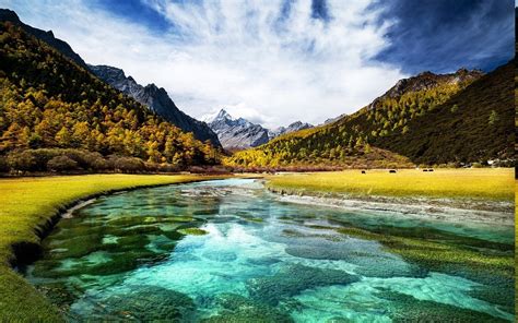 Landscape Nature Fall River Turquoise Water Mountain Tibet Grass Forest
