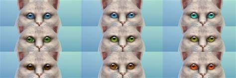 Aveira Eyes N15 For Pets Default Replacement By Nova Jy At Mod The Sims