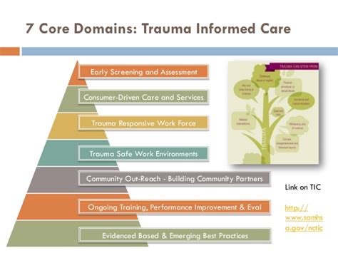 Trauma informed care is an approach to providing services that is sensitive to the possibility that children and families have experienced past or ongoing traumatic situations with implications for their current well being or response to interventions. Trauma informed care a national healthcare movement ...