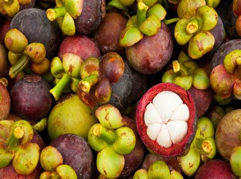 Over 50% of this unusual fruit is essential fatty acids which mean it is really good for you. Unusual Fruit : 15 Exotic Fruits You've Probably Never ...