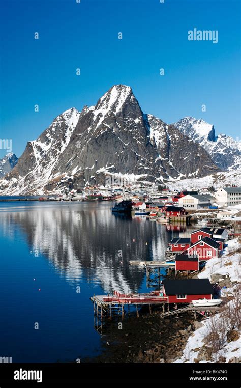 Vue Sur Le Village De Reine à Moskenes Dans îles Lofoten En Norvège En