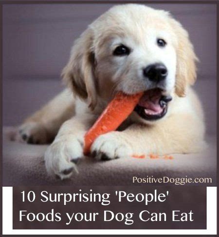 What foods can't dogs eat? 10 Surprising 'People' Foods your Dog Can Eat pets, pet ...