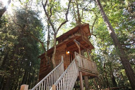 7 Epic Treehouse Rentals in Oregon