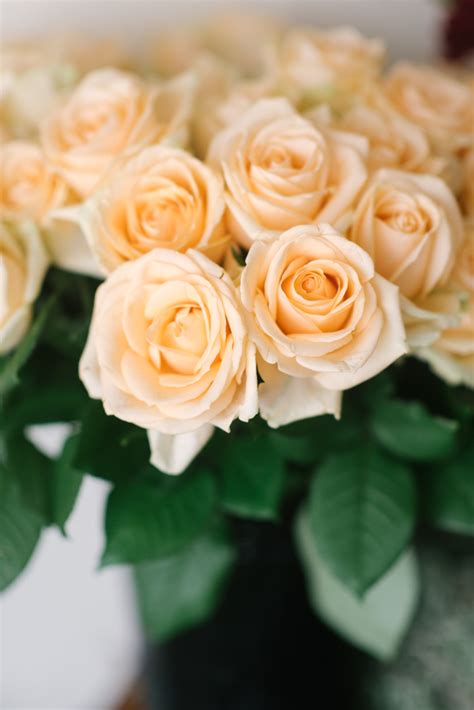 Peach Avalanche Roses An Organic Hand Tied Bridal Bouquet In Blush