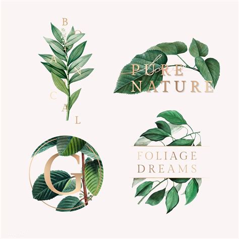 Tropical Botanic Logo Collection Vector Premium Image By