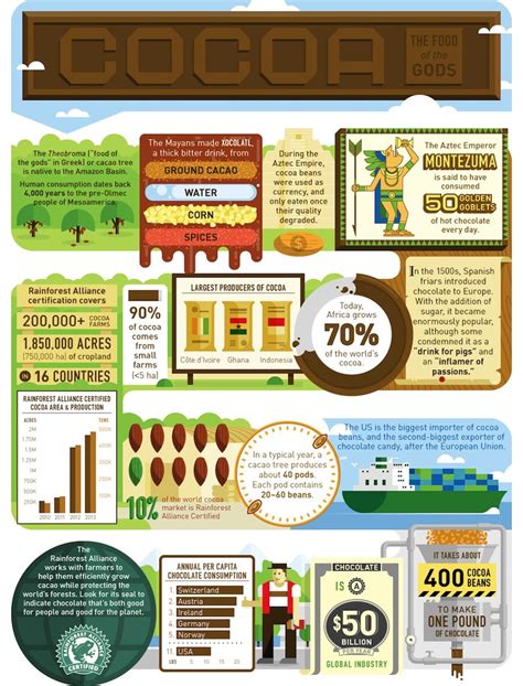 Fun Facts About Cocoa Infographic Mindbodygreen