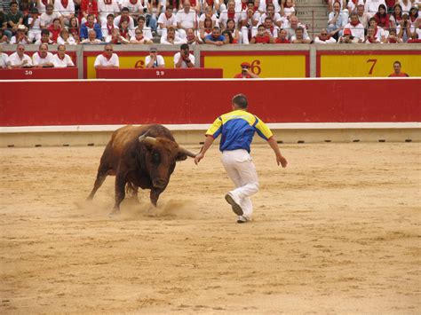 Images Gratuites Taureau Des Sports Performance Arène Un