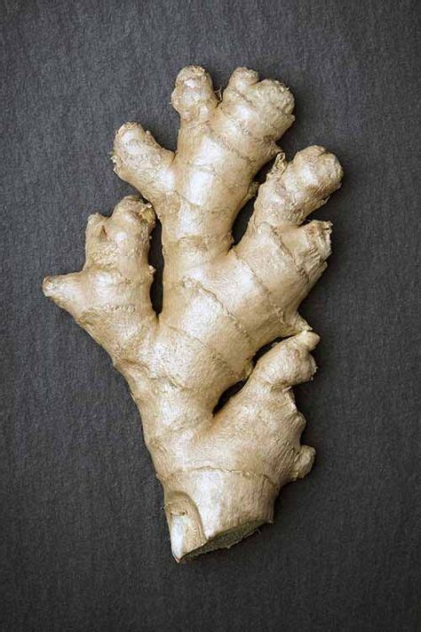 A Root Like No Other How To Use And Store Fresh Ginger Storing Fresh