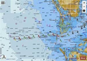Tampa Bay Entrance Marine Chart Us11415 P2981